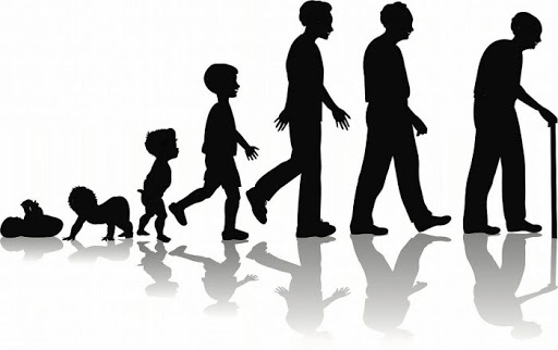 Age Factor